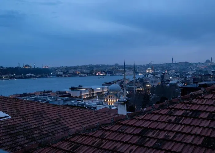 Luxury With Panoramic Bosphorus View 公寓 伊斯坦布尔