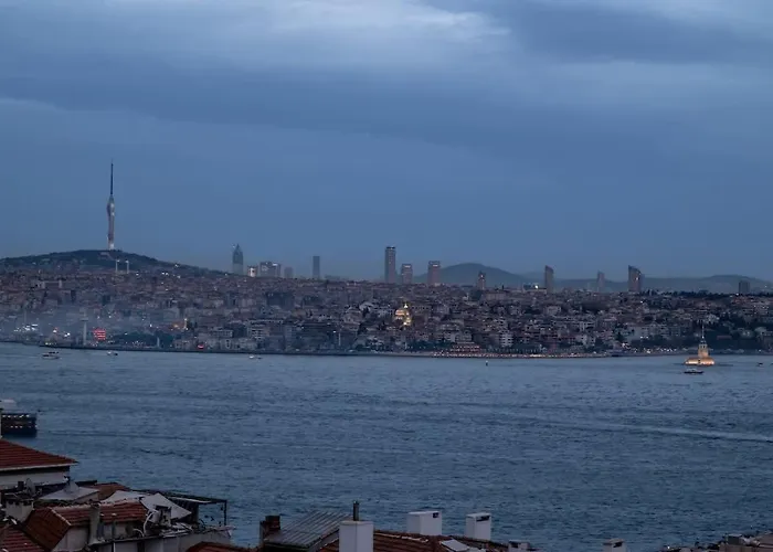 Luxury With Panoramic Bosphorus View 公寓 伊斯坦布尔